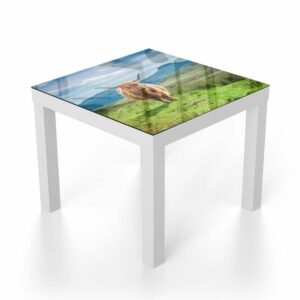 Salontafel 55x55 Wollige Schotse Hooglander