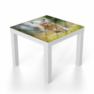 Salontafel 55x55 Jonge Lynx