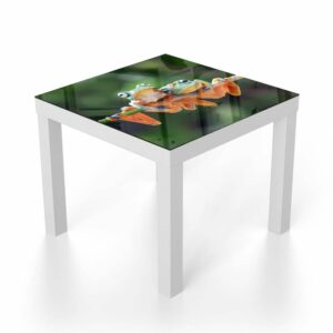 Salontafel 55x55 Twee Boomkikkers