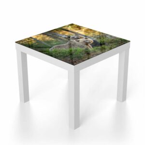 Salontafel 55x55 Bruine Beren