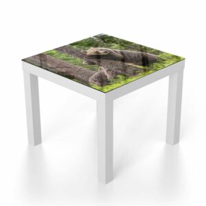 Salontafel 55x55 Bruine Beren in het Bos