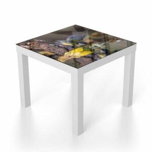 Salontafel 55x55 Koolmeesje bij het water