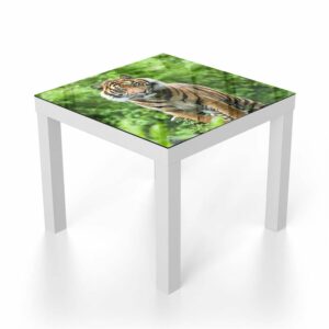 Salontafel 55x55 Bengaalse Tijger