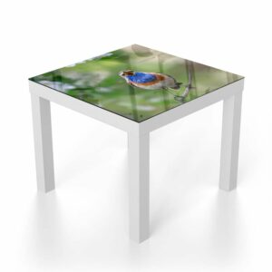 Salontafel 55x55 Schattige Blauwborst