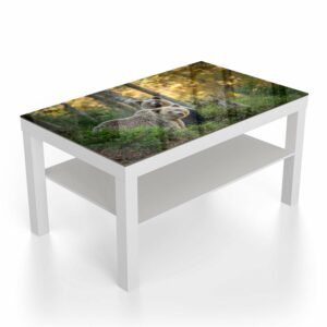 Salontafel 90x55 Bruine Beren