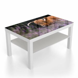 Salontafel 90x55 Schotse Hooglander Tussen de Bloemen