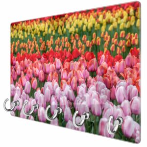 Sleutelhanger Tulpenveld in Lisse