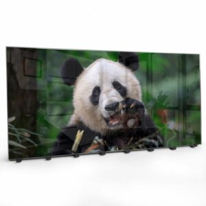 Kapstok van Glas Blije Panda