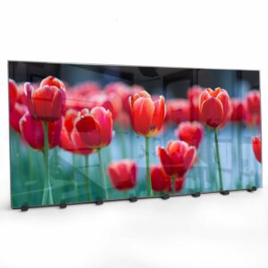 Kapstok van Glas Rode Tulpen