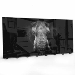 Kapstok van Glas Zwart/Wit Olifant