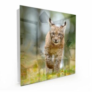 Sleutelkastje Jonge Lynx