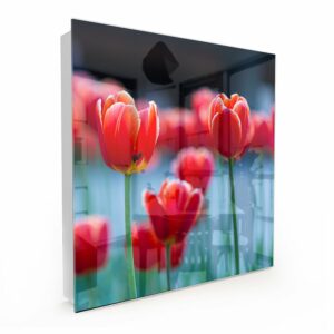 Sleutelkastje Rode Tulpen