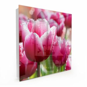 Sleutelkastje Natte Tulpen