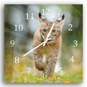 Wandklok 30x30 Jonge Lynx