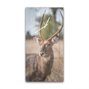 Wandklok 30x60 Waterbok