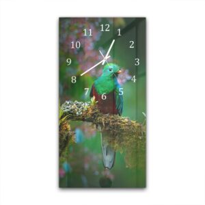 Wandklok 30x60 Quetzal Vogel