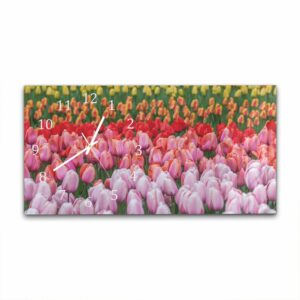 Wandklok 60x30 Tulpenveld in Lisse